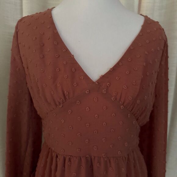 Altard State Dress Womens Small Rose Swiss Dot Cottage Ruffle Zip Up Flowy Gauzy - Picture 13 of 14